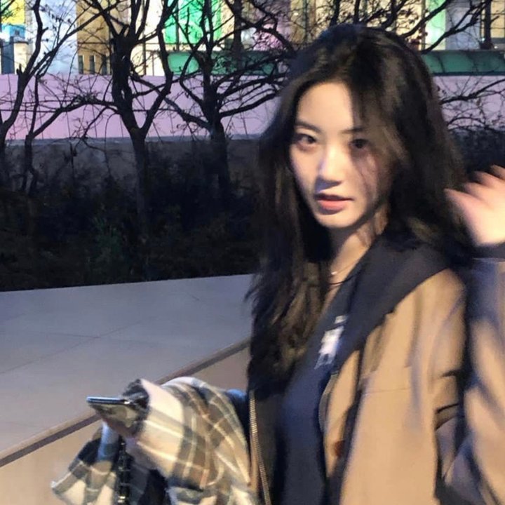 如歌的岁月